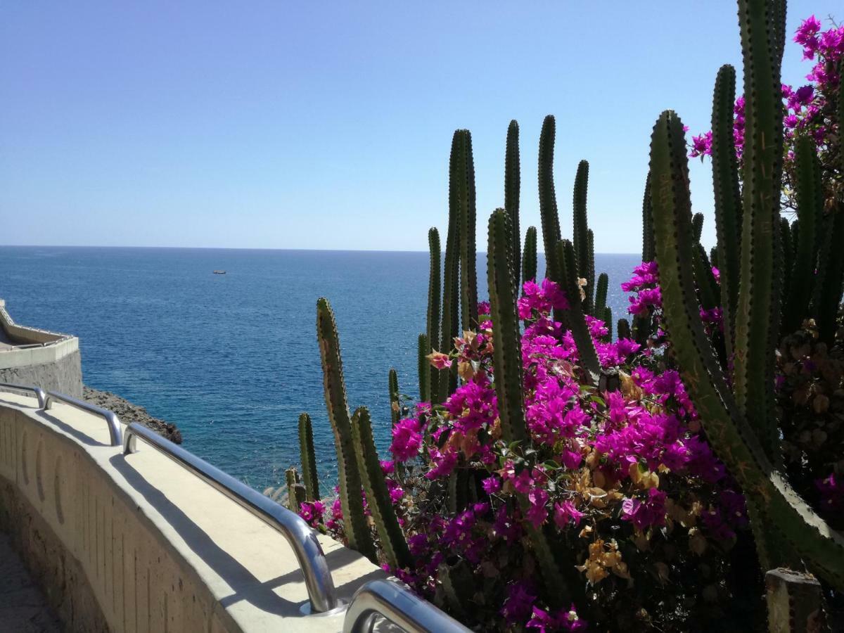 Apartment 3 Minutes From Puerto Rico Beach Моган Экстерьер фото